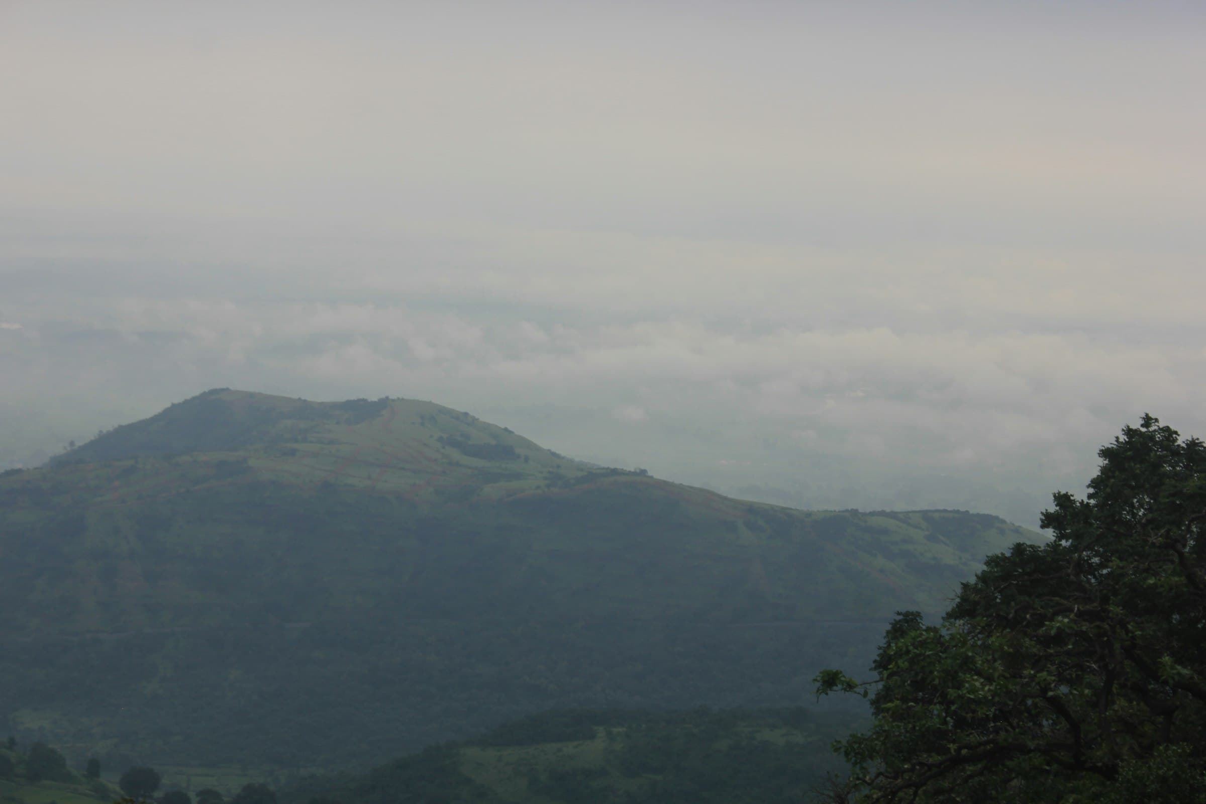 Forested hills fading into low cloud and mist.