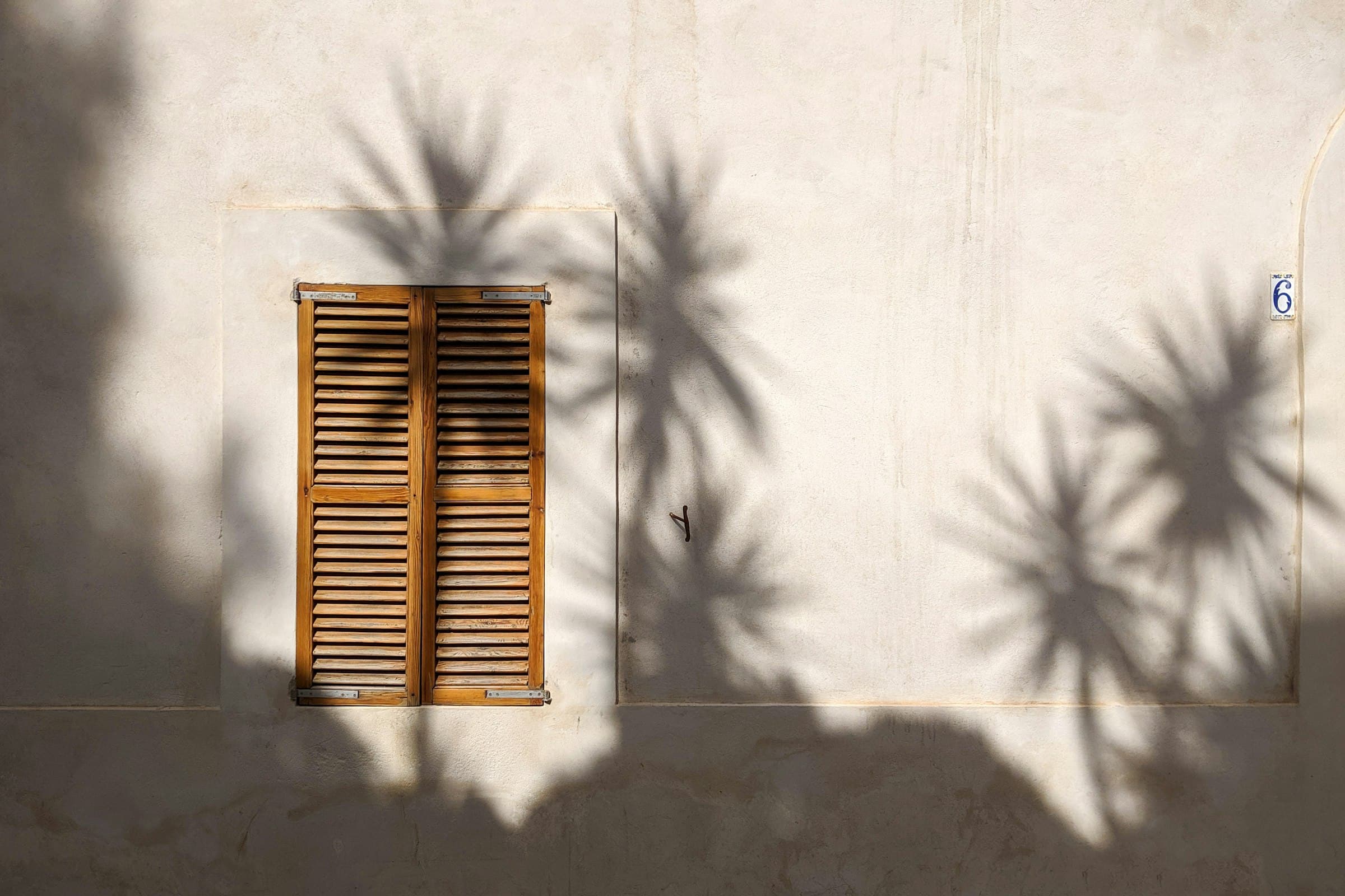 Palm frond shadows on a cream plaster wall beside a closed wooden shutter.